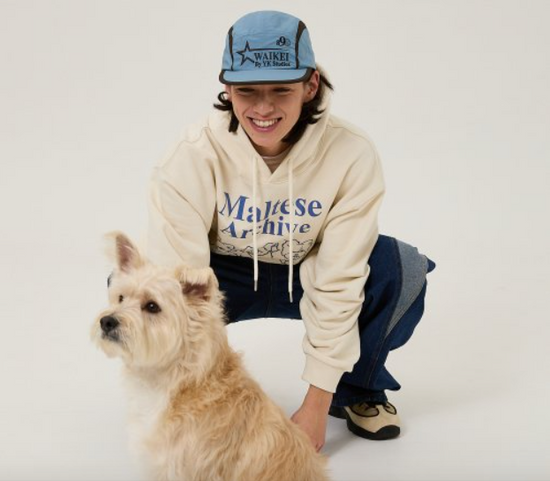 MALTESE ARCHIVE LINE GRAPHIC HOOD IVORY