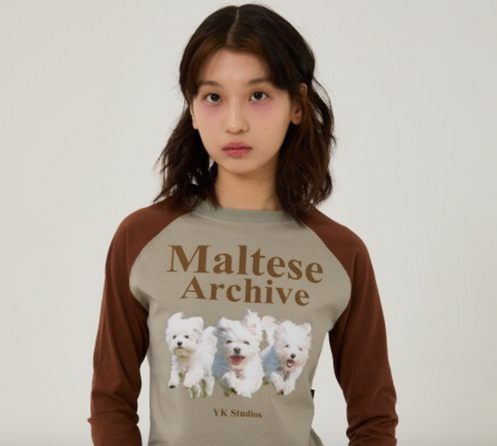 MALTESE ARCHIVE RAGLAN LONG SLEEVE TSHIRTS MINT