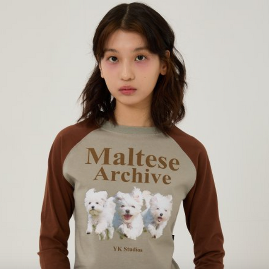 MALTESE ARCHIVE RAGLAN LONG SLEEVE TSHIRTS MINT