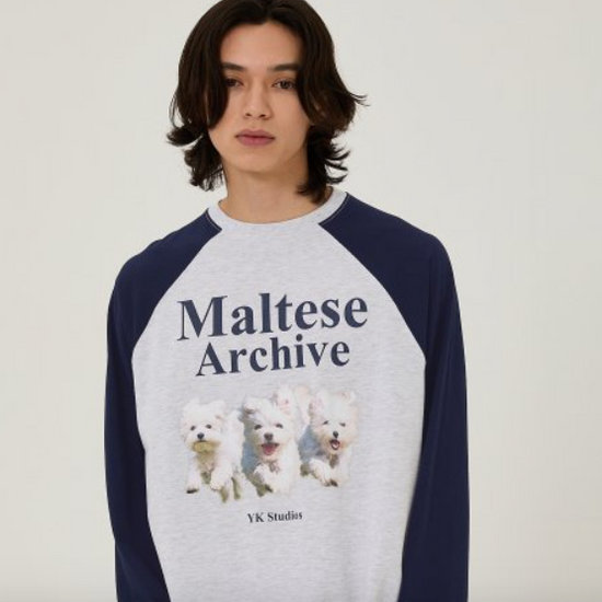 MALTESE ARCHIVE RAGLAN LONG SLEEVE TSHIRTS MELANGE WHITE