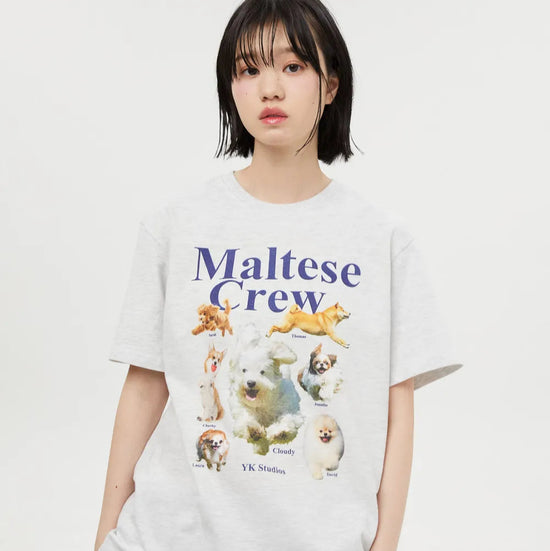 MALTESE CREW HALF SLEEVE TSHIRTS LIGHT GREY