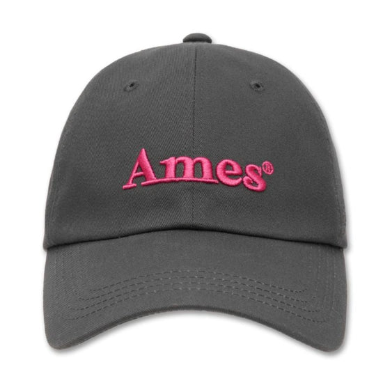 BASIC LOGO BALL CAP CHARCOAL