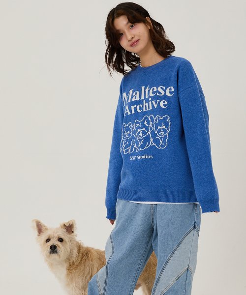 さらに100円引き◆WAI KEI◆Maltese archive line graphics knit BUY WAI KEI Knit MALTESE ARCHIVE LINE GRAPHICS KNIT BLUE