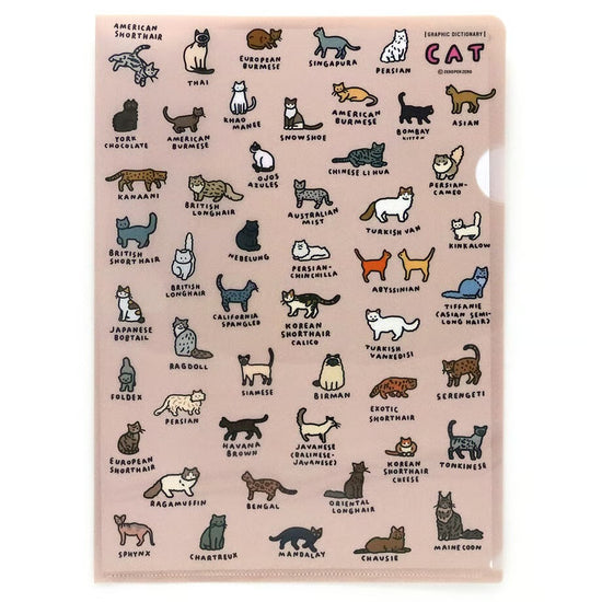 A4 FOLDER CAT DICTIONARY 2