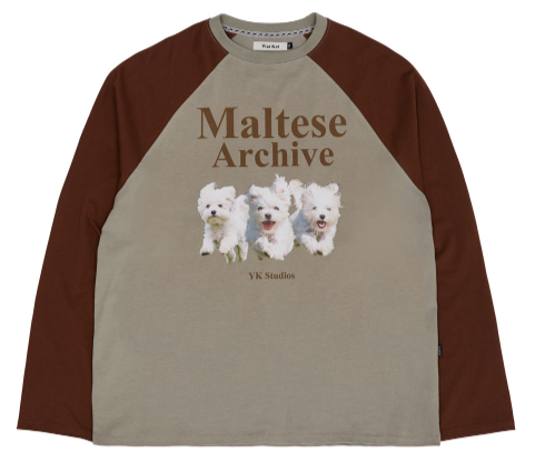 MALTESE ARCHIVE RAGLAN LONG SLEEVE TSHIRTS MINT